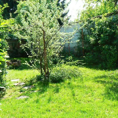 Apartment Regina Vendeghaz Miskolc