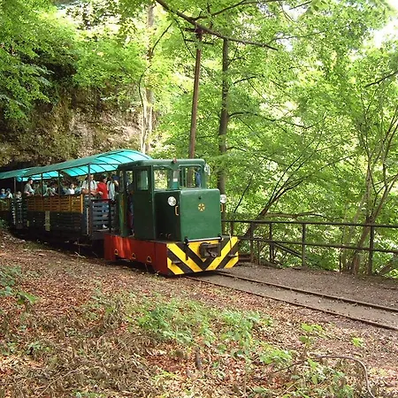 Regina Vendeghaz * Miskolc