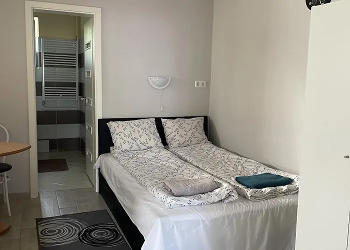 Regina Vendeghaz Daire