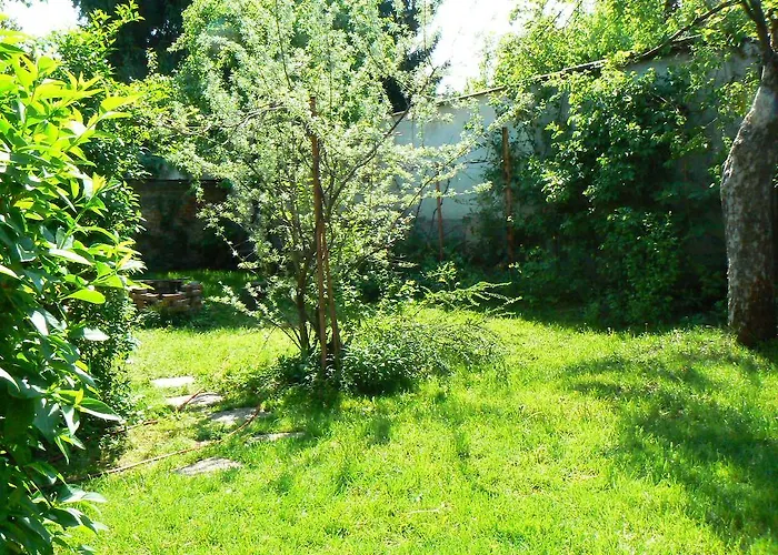 Daire Regina Vendeghaz Miskolc