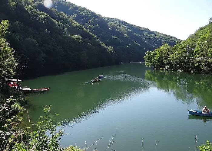 Regina Vendeghaz Miskolc