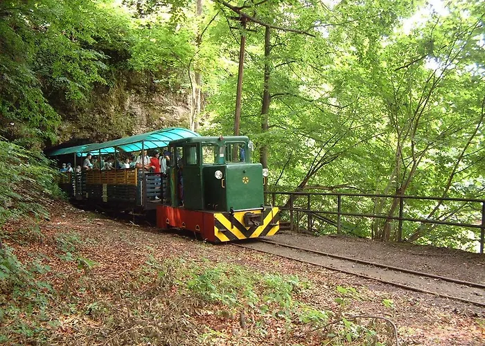 Regina Vendeghaz * Miskolc